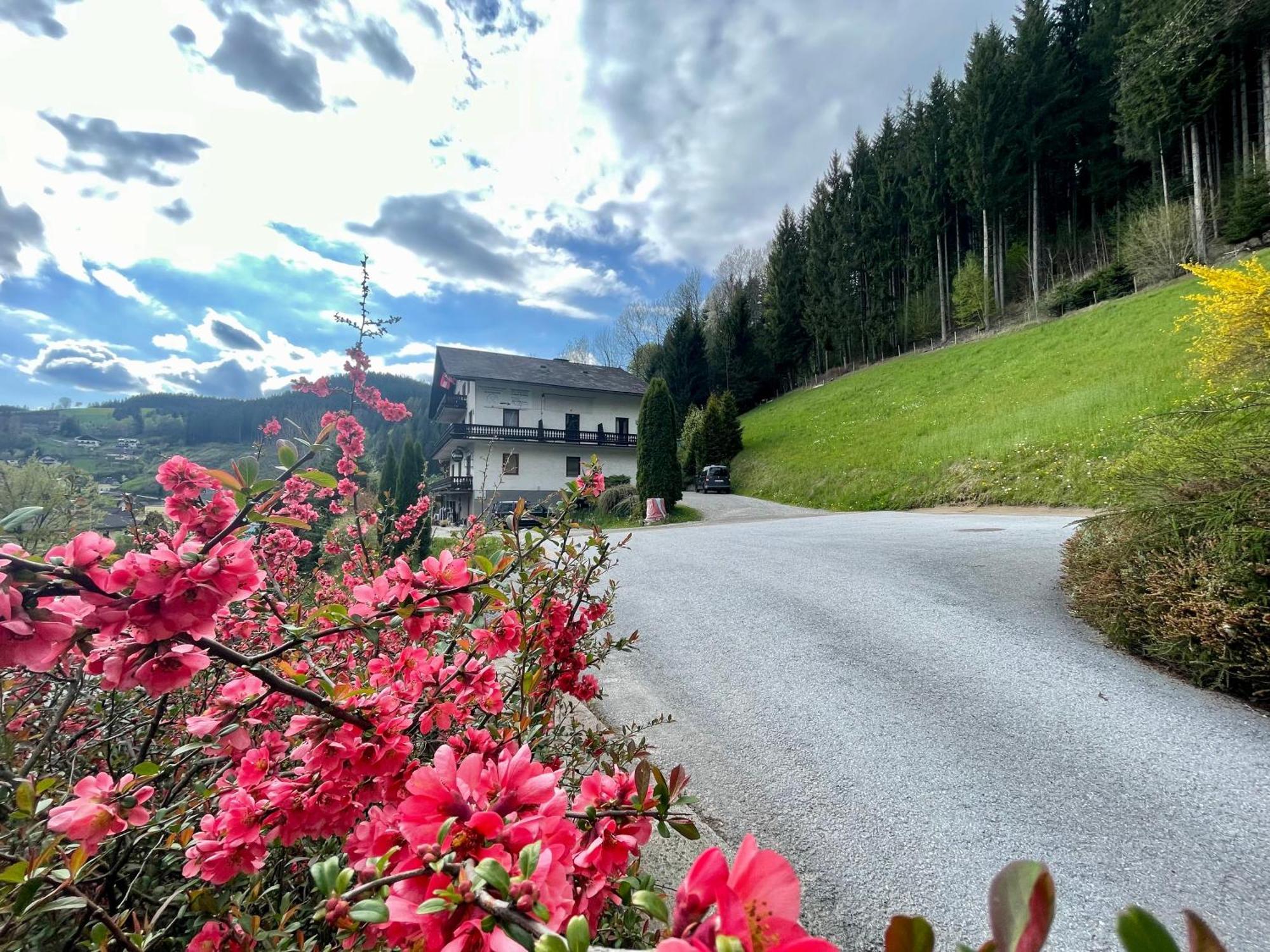 Alpenpension Gasthof Ratten Esterno foto